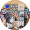 Squirrel in The Schooll By Nimal